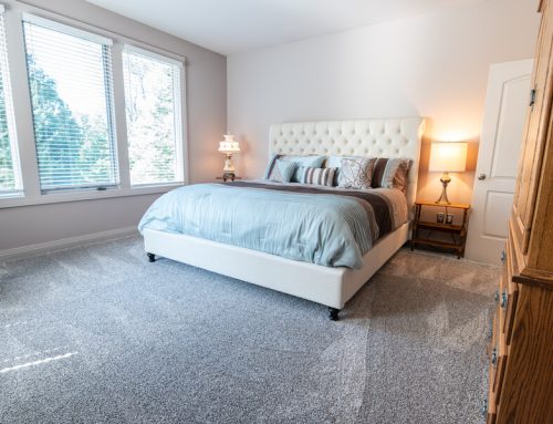 Do Cleaning Services Bring Their Own Supplies? What to Expect