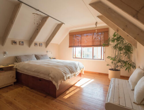 Cleaning Guide for Allergy Sufferers: A Room-by-Room Plan