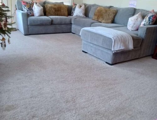 Cleaning Guide for Homes with Reptile and Exotic Pets