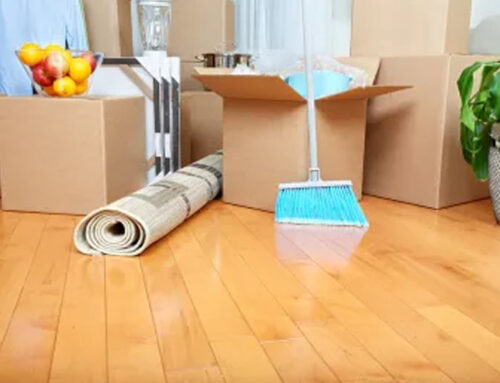 Move-In/Move-Out Deep Cleaning Charlotte