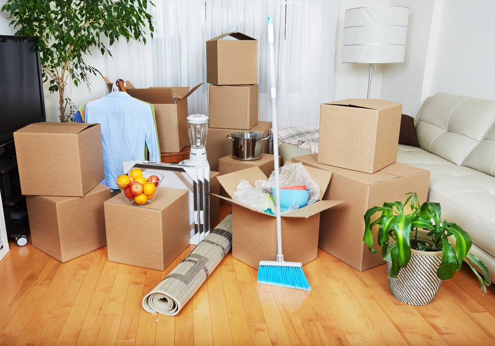 Professional Move-In Move-Out Deep Cleaning in Charlotte, NC