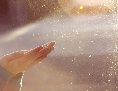 How Household Dust Affects Your Health | Alpha Cleaning