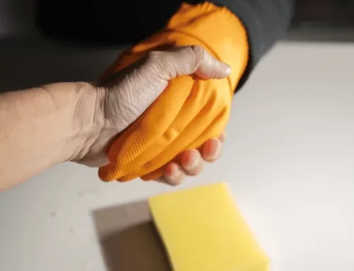 House Cleaning Services Near Me. What to Expect & How to Choose