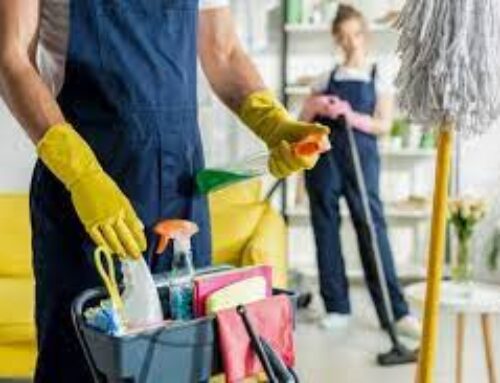 Biophilic Cleaning: Why Green Spaces Need Special Care